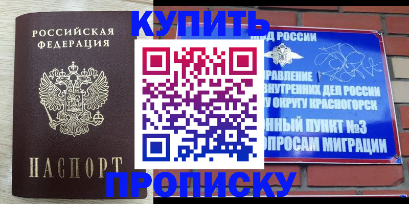 прописка гарантия в Малой Вишере